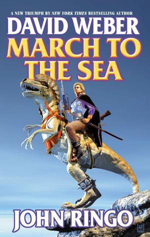 Cover of the book March to the Sea by Tim Powers