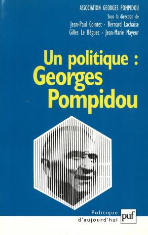 Cover of the book Un politique : Georges Pompidou by Dominique Picard