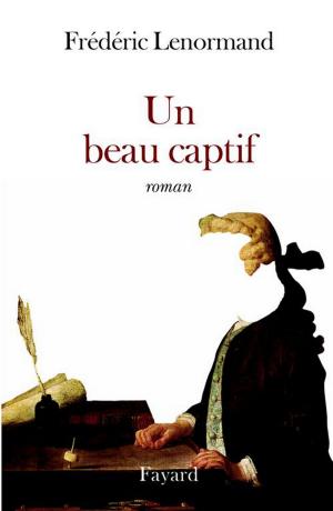 Cover of the book Un beau captif by Lucien Biart