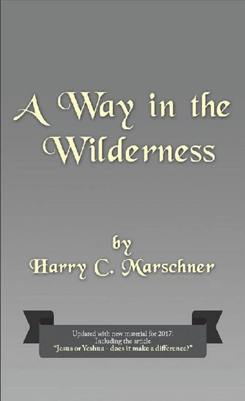 Cover of the book A Way in the Wilderness by Harry Marschner, AuthorHouse