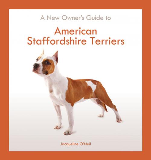 Cover of the book American Staffordshire Terrier by Jacqueline O'Neil, TFH Publications, Inc.