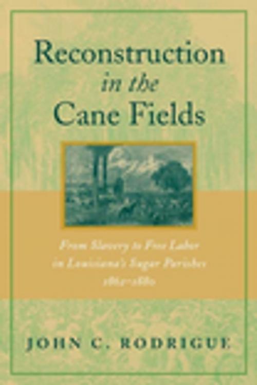 Cover of the book Reconstruction in the Cane Fields by John C. Rodrigue, LSU Press