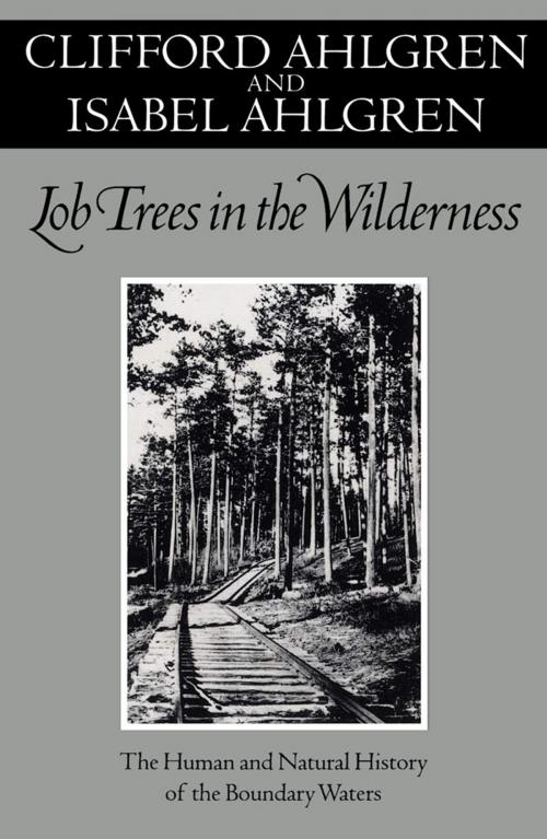 Cover of the book Lob Trees In The Wilderness by Clifford Ahlgren, University of Minnesota Press