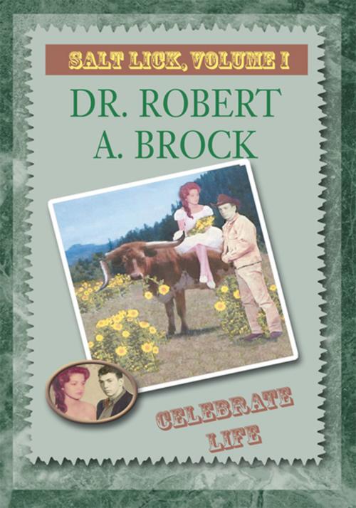 Cover of the book Salt Lick, Vol. I by Dr. Robert A. Brock, Xlibris US
