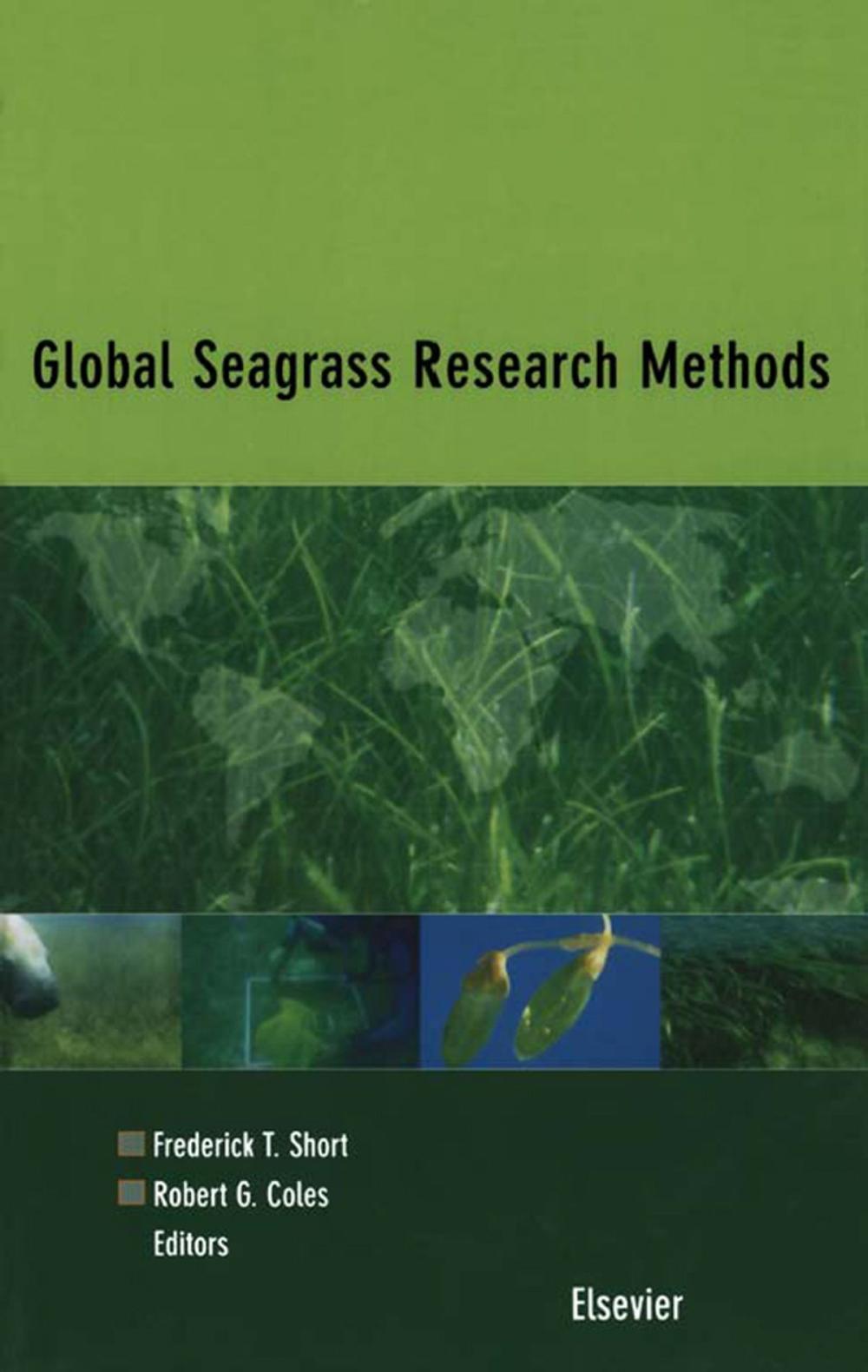 Big bigCover of Global Seagrass Research Methods