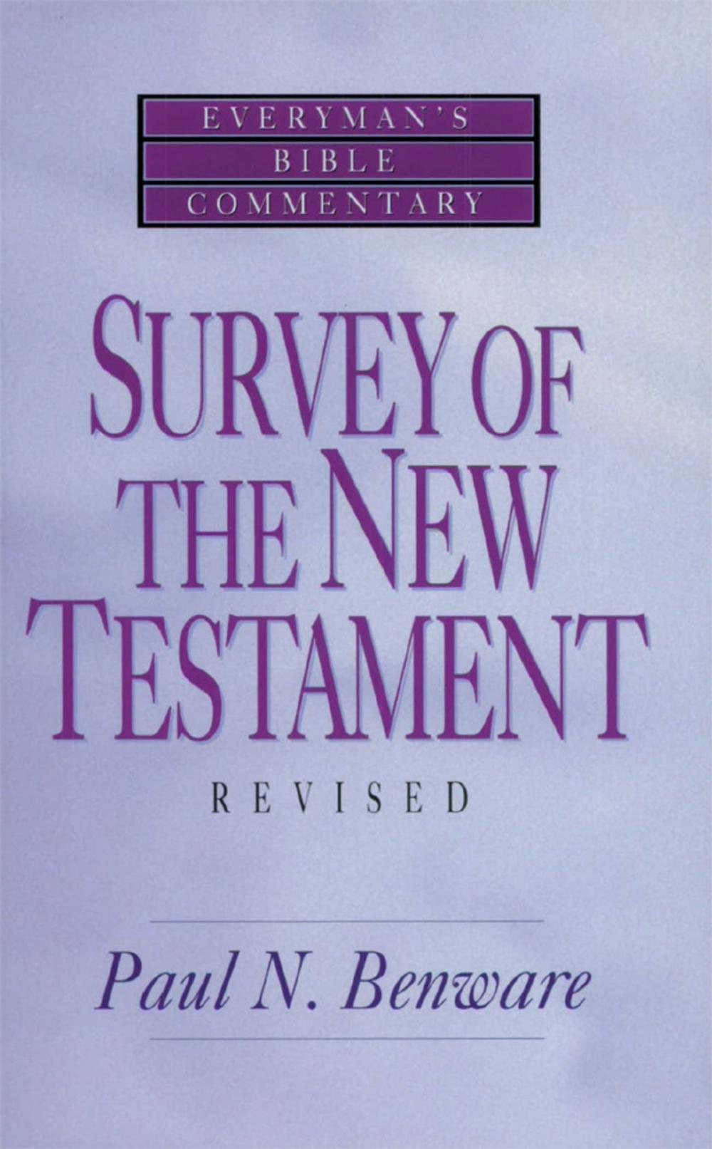 Big bigCover of Survey of the New Testament- Everyman's Bible Commentary