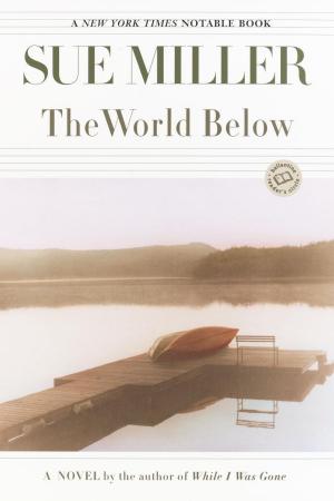 Cover of the book The World Below by Margaret Lawrence