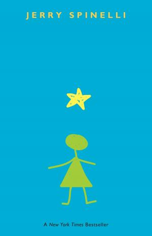 bigCover of the book Stargirl by 
