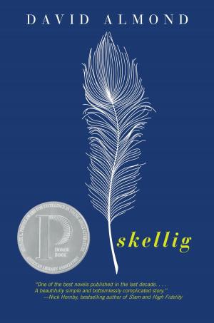 Cover of the book Skellig by Christopher Barzak