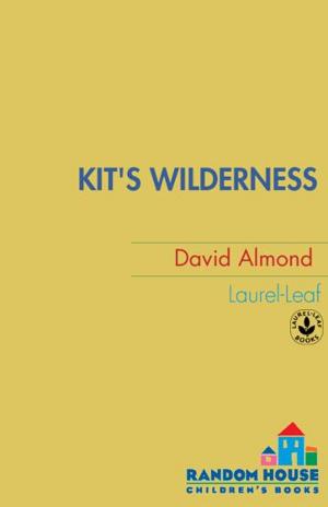 Cover of the book Kit's Wilderness by Paul Stewart, Chris Riddell