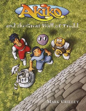 Cover of the book Akiko and the Great Wall of Trudd by Ben Joel Price