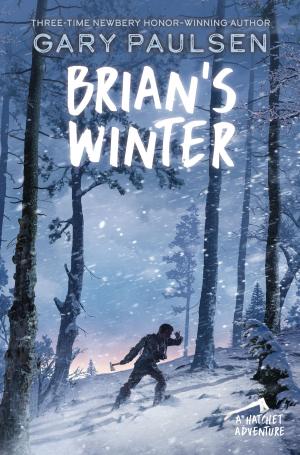 Cover of the book Brian's Winter by Mary Pope Osborne, Natalie Pope Boyce