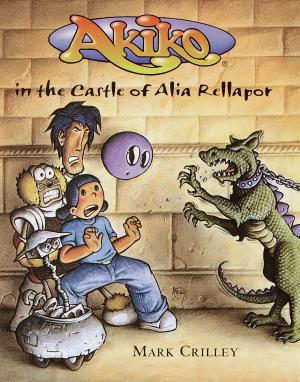 Cover of the book Akiko in the Castle of Alia Rellapor by Jeff Stone