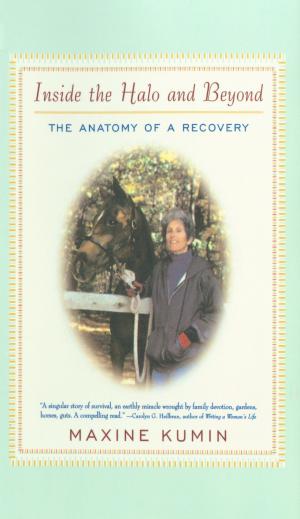 Book cover of Inside the Halo and Beyond: The Anatomy of a Recovery