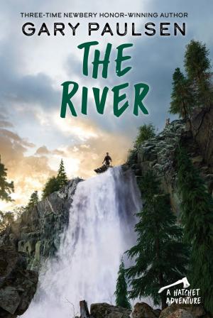 Cover of the book The River by Ron Roy