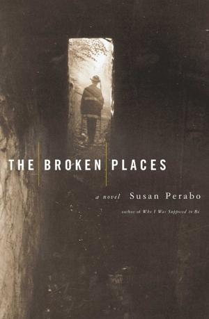 Book cover of The Broken Places