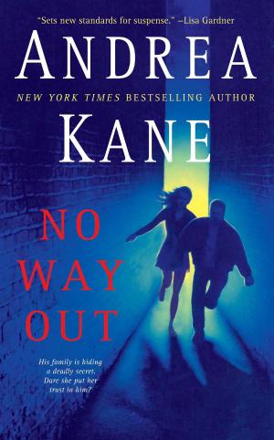Cover of the book No Way Out by Hilari T. Cohen