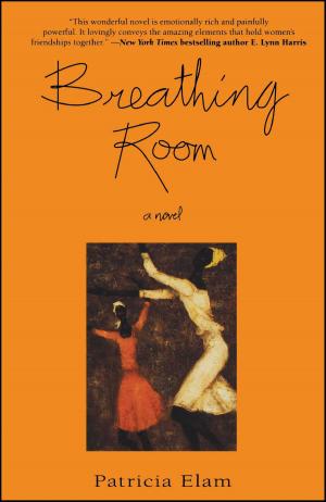 Cover of the book Breathing Room by Buffy Christopher-Vincent
