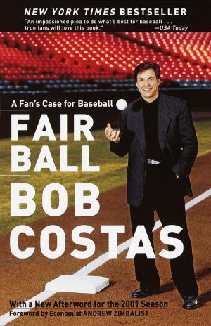 Cover of the book Fair Ball by John Stewart