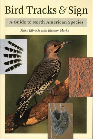 Book cover of Bird Tracks & Sign