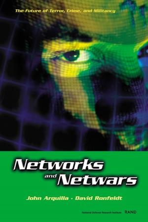 Cover of the book Networks and Netwars by Todd C. Helmus, Erin York, Peter Chalk