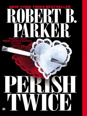 Cover of the book Perish Twice by Tabor Evans