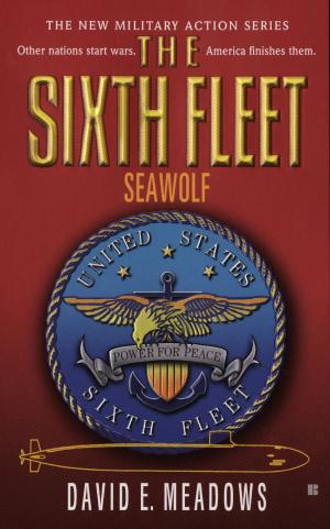 Cover of the book Sixth Fleet, The: Seawolf by Jon Sharpe