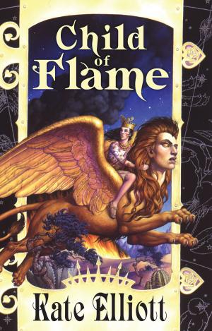 Cover of the book Child of Flame by Reece Bridger