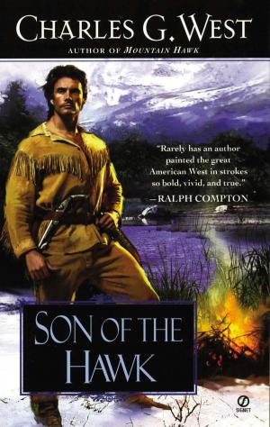 Cover of the book Son of the Hawk by Nora Roberts