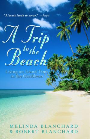 Book cover of A Trip to the Beach