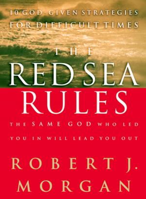 Cover of the book The Red Sea Rules by Debi Stack