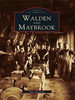 bigCover of the book Walden and Maybrook by 