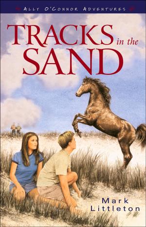 Cover of the book Tracks in the Sand (Ally O’Connor Adventures Book #1) by Ted Kluck