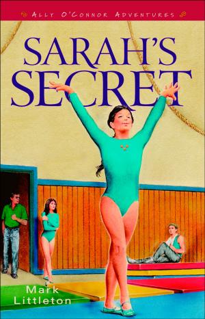 bigCover of the book Sarah's Secret (Ally O’Connor Adventures Book #2) by 