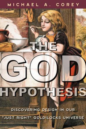 Cover of the book The God Hypothesis by Dimitar Bechev