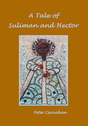 Book cover of A Tale of Suliman and Hector