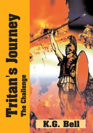 Cover of the book Tritan's Journey by Mazhar Merhebi