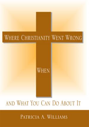 Cover of the book Where Christianity Went Wrong, When by Danny Barnett