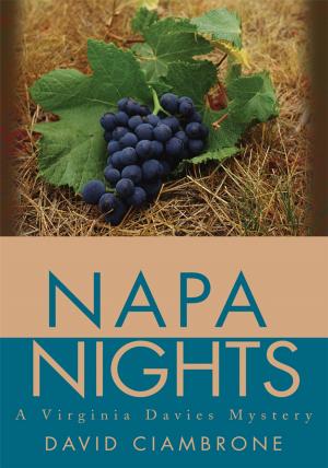 Cover of the book Napa Nights by L. Robert Furman EdD
