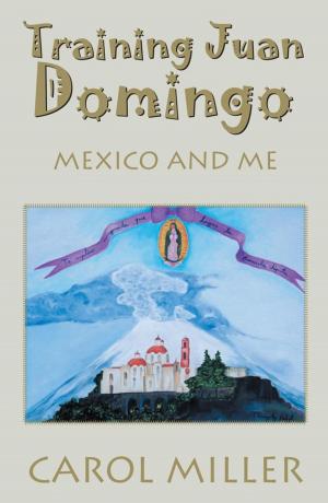 Cover of the book Training Juan Domingo by Pamela Chaffin Foster