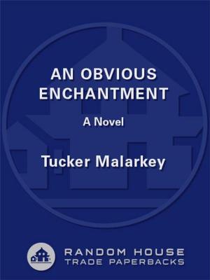 Cover of the book An Obvious Enchantment by Matt Taibbi