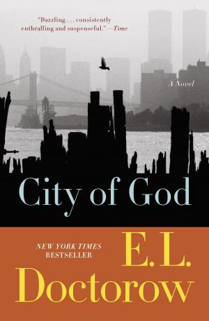 Cover of the book City of God by Kariss Lynch