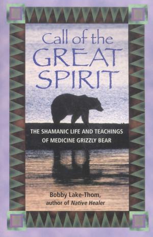 bigCover of the book Call of the Great Spirit by 