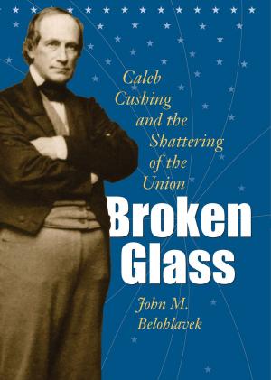 Cover of the book Broken Glass by Flavel C. Barber