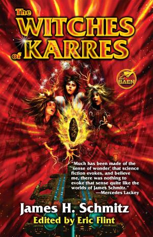Cover of the book The Witches of Karres by Stoney Compton
