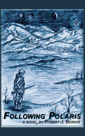 Cover of the book Following Polaris by Vicente Blasco Ibáñez