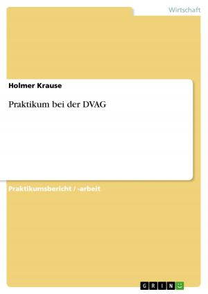 Cover of the book Praktikum bei der DVAG by Melanie Telkemeier