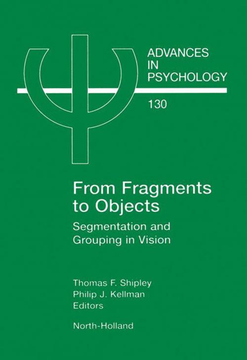 Cover of the book From Fragments to Objects by , Elsevier Science