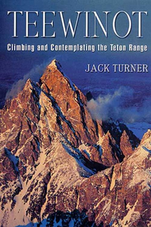 Cover of the book Teewinot by Jack Turner, St. Martin's Press