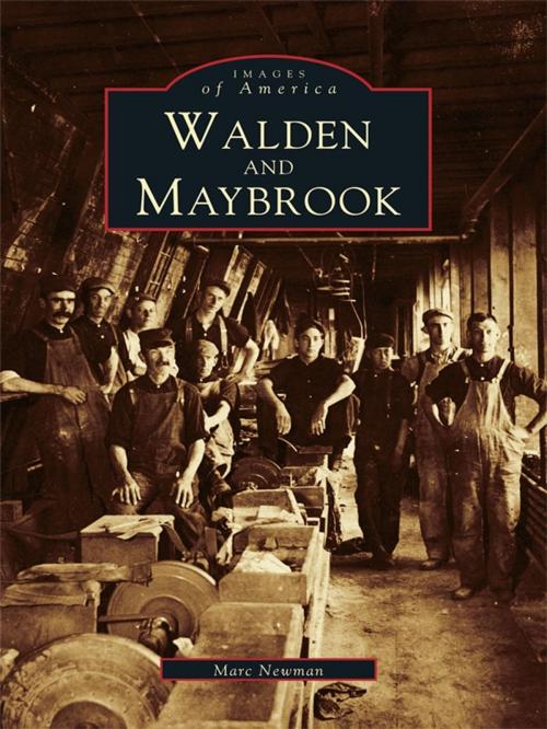 Cover of the book Walden and Maybrook by Marc Newman, Arcadia Publishing Inc.